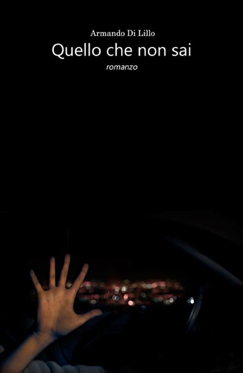 Quello che non sai - Armando Di Lillo - copertina