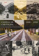 Canelli in cartolina 1900-1950. Storia per immagini di una città operosa