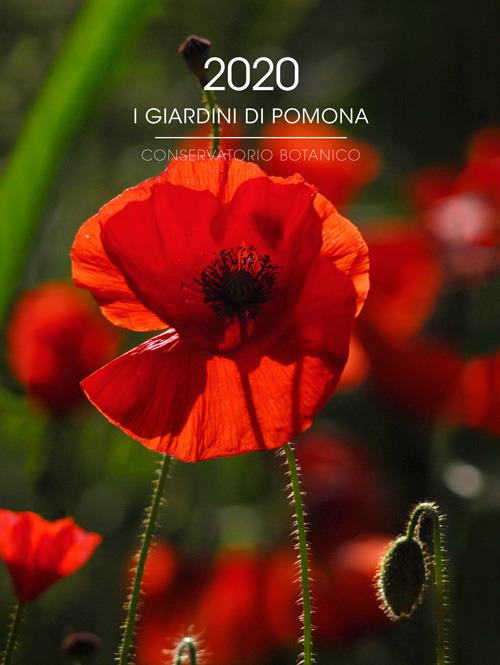 I giardini di Pomona. Conservatorio botanico. Calendario 2020. Ediz. italiana e inglese - Enzo Arnone - copertina