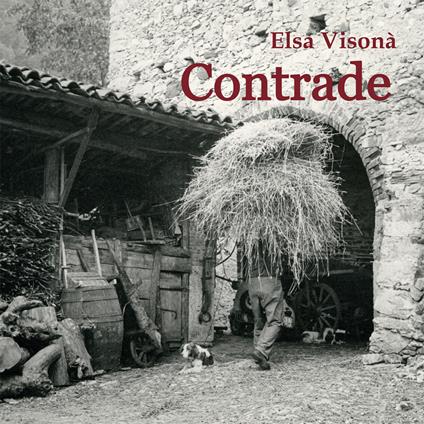 Elsa Visonà. Contrade. Ediz. illustrata - Cinzia Burtini,Franca Maria Soldà - copertina