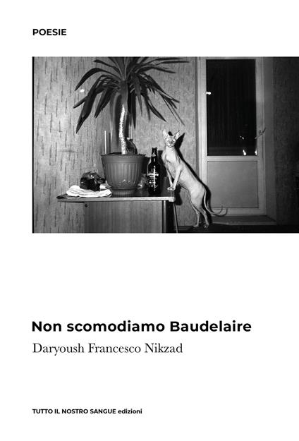 Non scomodiamo Baudelaire - Francesco Nikzad Daryoush - copertina