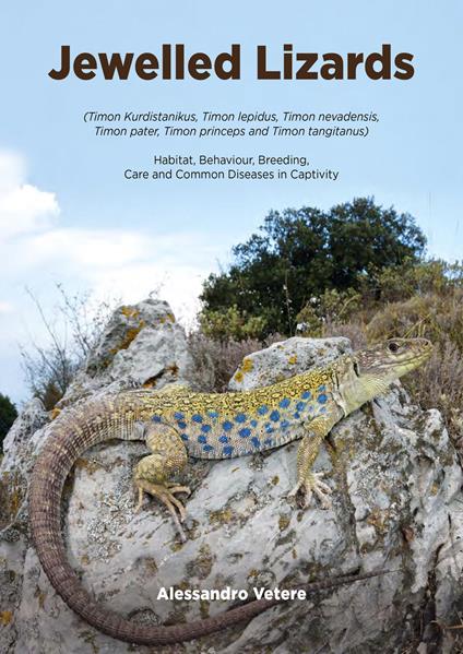 Jewelled lizards. Habitat, behaviour, breeding, care and common diseases in captivity - Alessandro Vetere - copertina