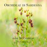 Orchideae di Sardegna. Altre Sennoricas