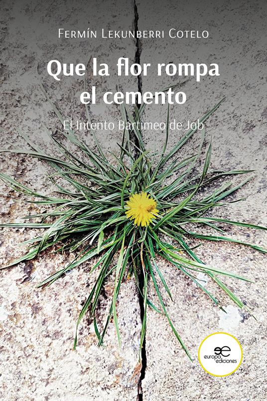 Que la flor rompa el cemento. El intento Bartimeo de Job - Fermín Lekunberri Cotelo - copertina