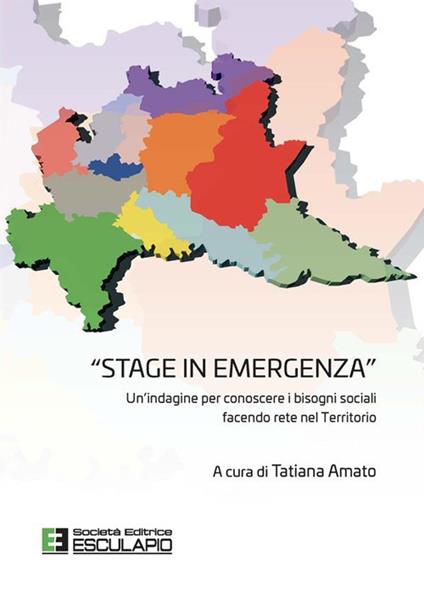 «Stage in emergenza». Un'indagine per conoscere i bisogni sociali facendo rete nel territorio - Tatiana Amato - ebook
