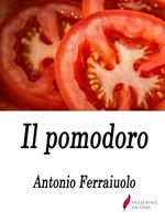 Il pomodoro