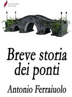 Breve storia dei ponti