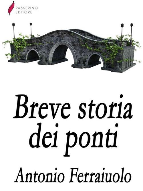 Breve storia dei ponti - Antonio Ferraiuolo - ebook