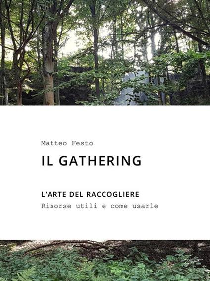 Il gathering. L'arte del raccogliere - Matteo Festo - ebook