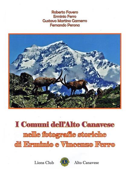 I comuni dell'Alto Canavese nelle fotografie storiche di Erminio e Vincenzo Ferro. Ediz. illustrata - Roberto Favero,Erminio Ferro,Gustavo Martino Gamerro,Fernando Perona - ebook