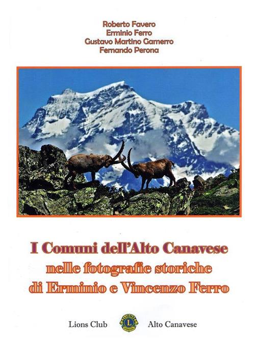 I comuni dell'Alto Canavese nelle fotografie storiche di Erminio e Vincenzo Ferro. Ediz. illustrata - Roberto Favero,Erminio Ferro,Gustavo Martino Gamerro,Fernando Perona - ebook