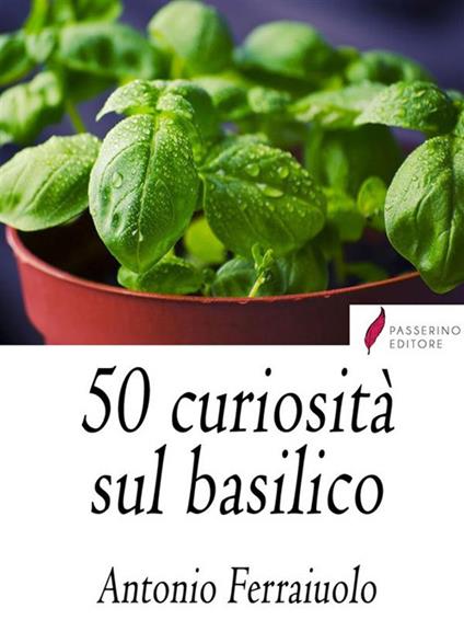 50 curiosità sul basilico - Antonio Ferraiuolo - ebook