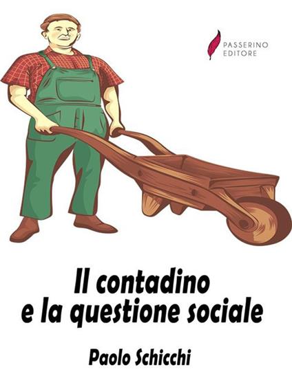 Il contadino e la questione sociale - Paolo Schicchi - ebook