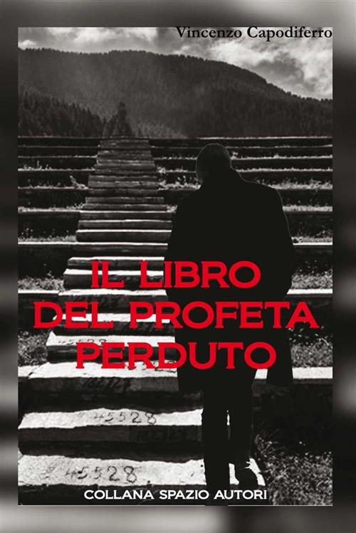 Il libro del profeta perduto - Vincenzo Capodiferro - ebook