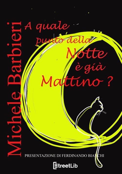 A quale punto della notte è già mattino? - Michele Barbieri - copertina
