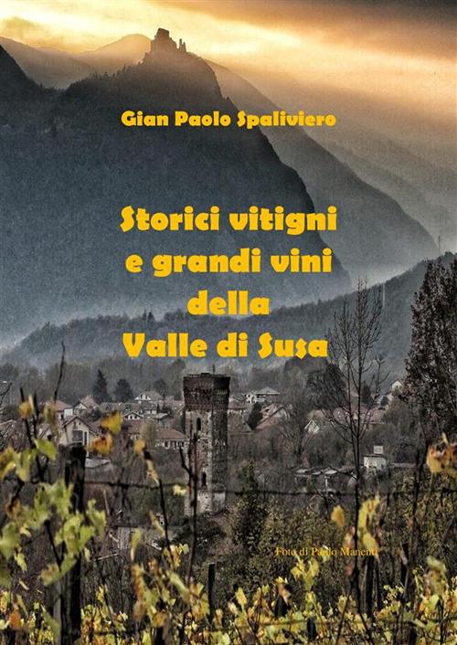 Storici vitigni e grandi vini della Valle di Susa - Gian Paolo Spaliviero - ebook