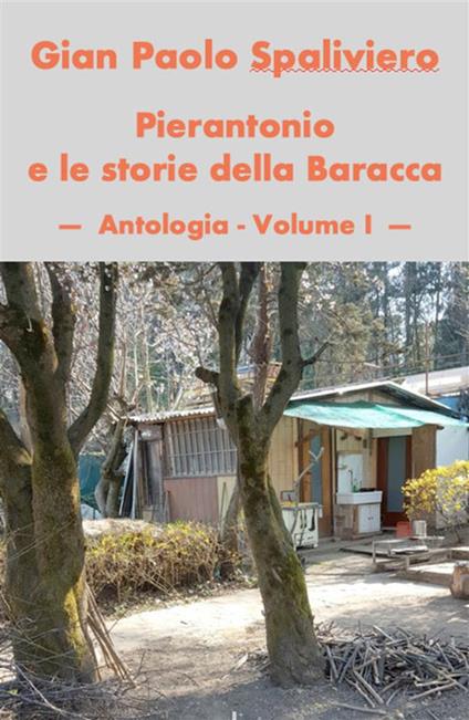 Pierantonio e le storie della Baracca. Vol. 1 - Gian Paolo Spaliviero - ebook