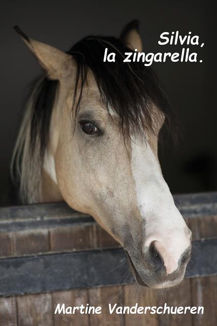 Silvia la zingarella - Martine Vanderschueren - copertina