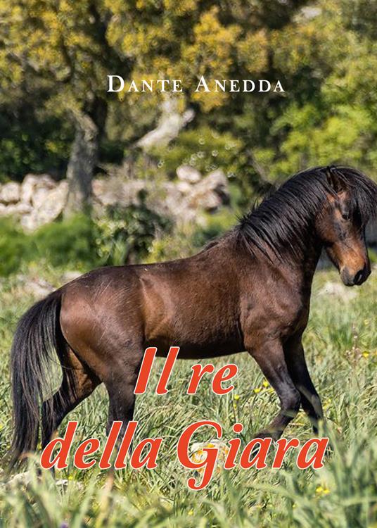 Il re della Giara - Dante Anedda - copertina