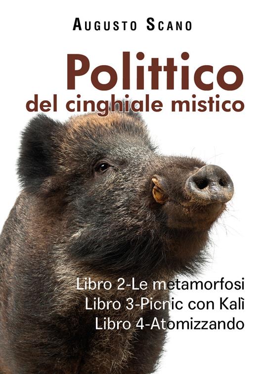Polittico del cinghiale mistico. Vol. 2-3-4: metamorfosi-Picnic con Kalì-Atomizzando, Le. - Augusto Scano - copertina