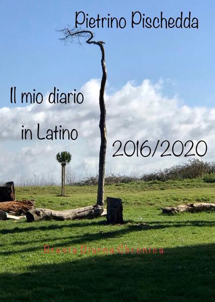 Il mio diario in latino - Pietrino Pischedda - copertina