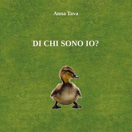 Di chi sono io? - Anna Tava - copertina