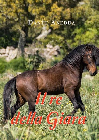 Il re della Giara - Dante Anedda - ebook