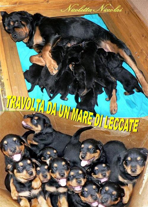 Travolta da un mare di leccate - Nicoletta Niccolai - ebook