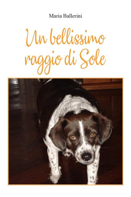 Un bellissimo raggio di sole - Maria Ballerini - copertina