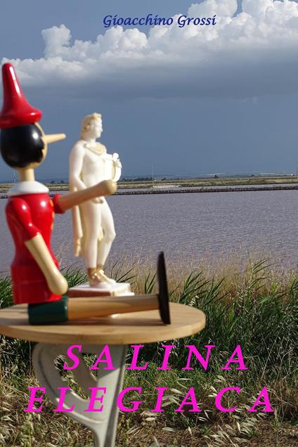 Salina elegiaca - Gioacchino Grossi - copertina