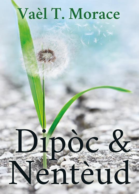 Dipòc & Nentèud - Vaèl T. Morace - copertina