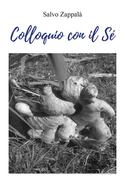 Colloquio con il sé - Salvo Zappalà - copertina