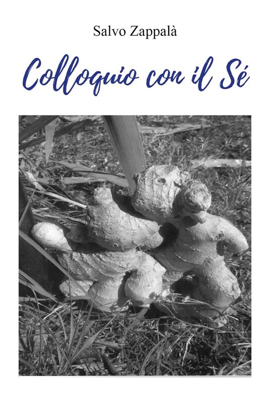 Colloquio con il sé - Salvo Zappalà - copertina