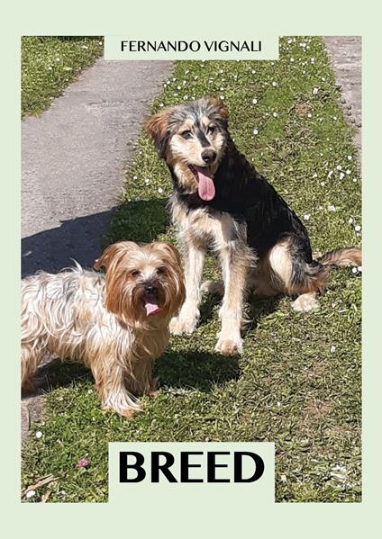 Breed - Fernando Vignali - copertina