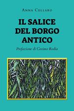 Il salice del borgo antico