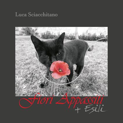 Fiori Appassiti + Esili - Luca Sciacchitano - copertina