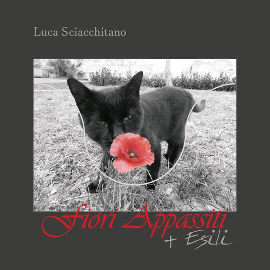 Fiori Appassiti + Esili - Luca Sciacchitano - copertina