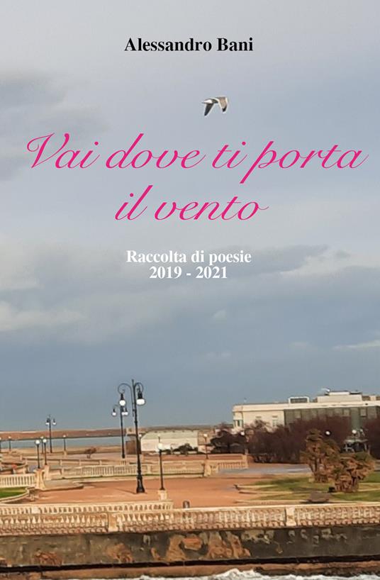 Vai dove ti porta il vento - Alessandro Bani - copertina