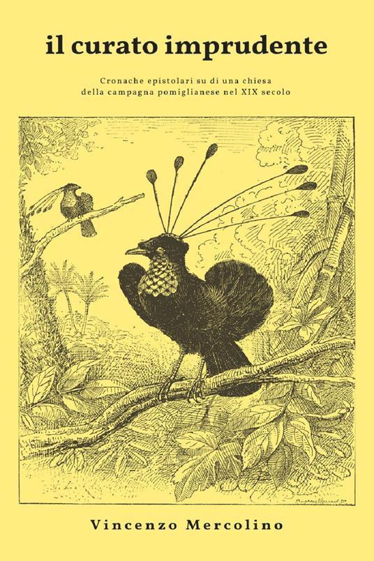 Il curato imprudente - Vincenzo Mercolino - copertina