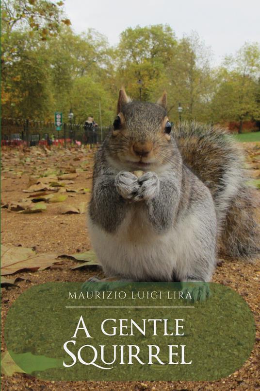 A gentle squirrel - Maurizio Luigi Lira - copertina