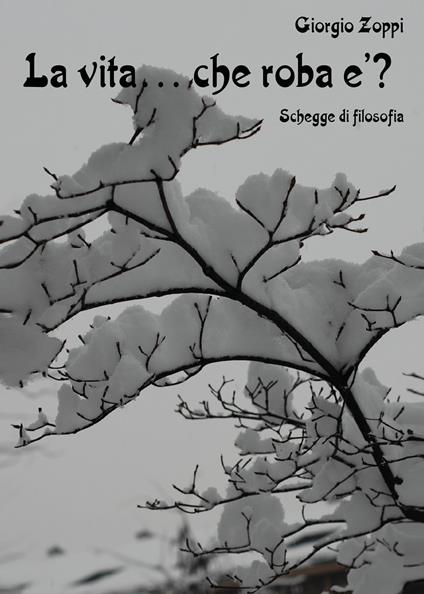 La vita... che roba è? Schegge di filosofia - Giorgio Zoppi - copertina