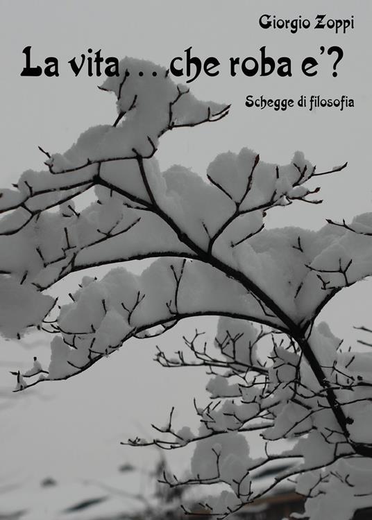 La vita... che roba è? Schegge di filosofia - Giorgio Zoppi - copertina