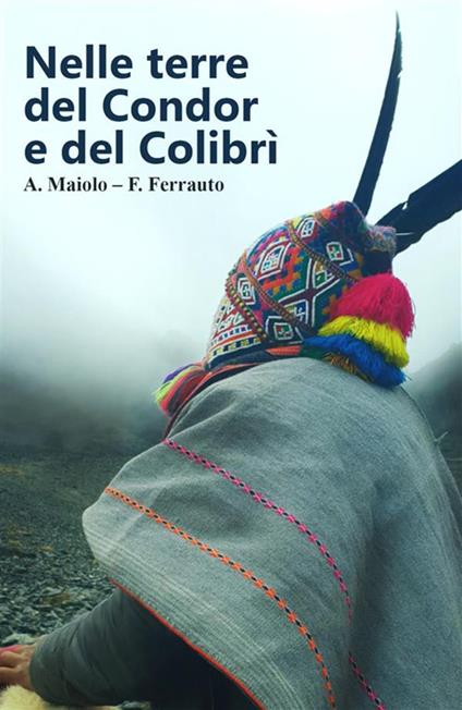 Nelle terre del condor e del colibrì - F. Ferrauto,A. Maiolo - ebook