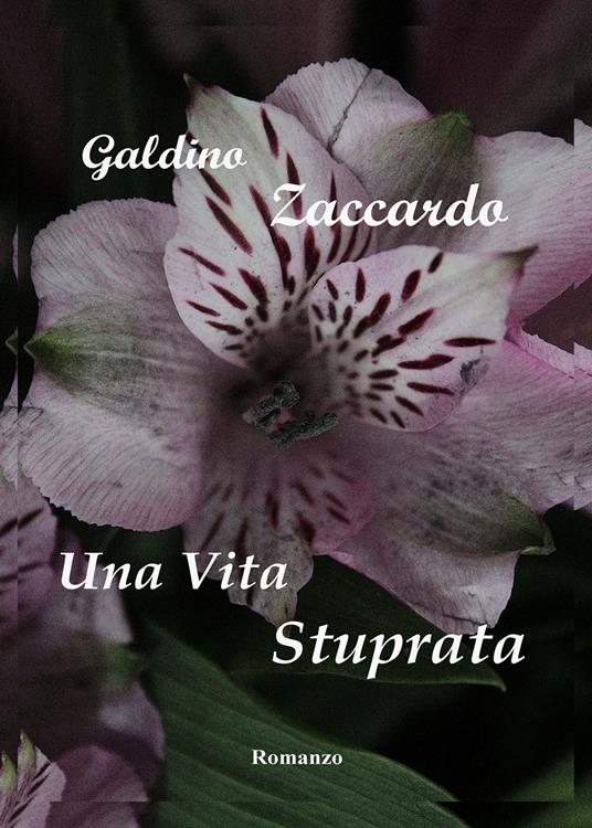 Una vita stuprata - Galdino Zaccardo - copertina