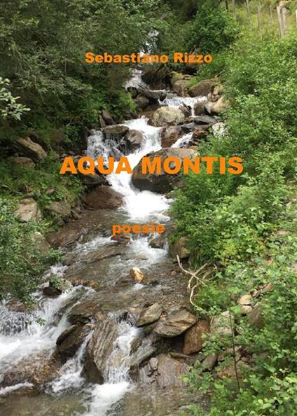 Aqua montis. Poesie - Sebastiano Rizzo - ebook