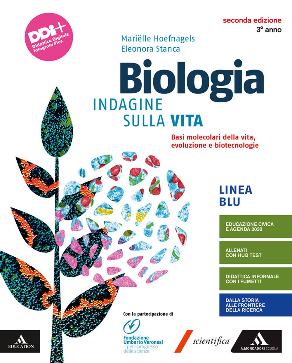 Libraccio