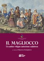 Il Magliocco. Un antico vitigno autoctono calabrese