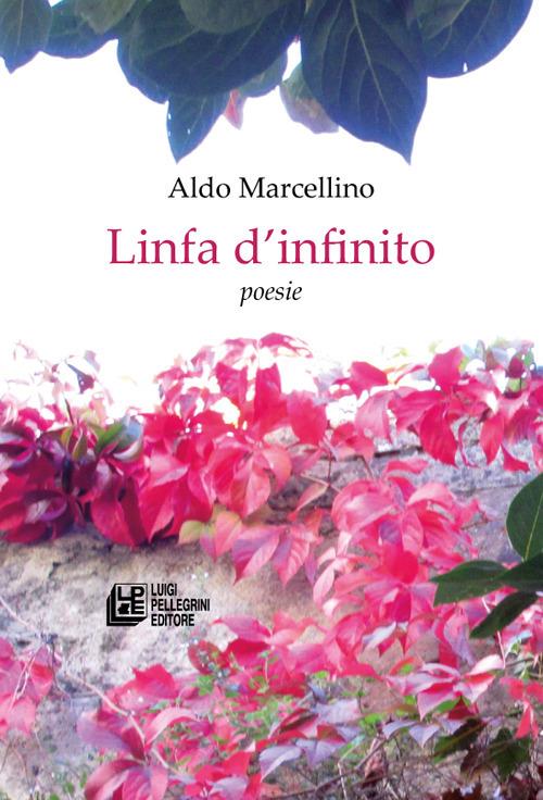 Linfa d'infinito - Aldo Marcellino - copertina