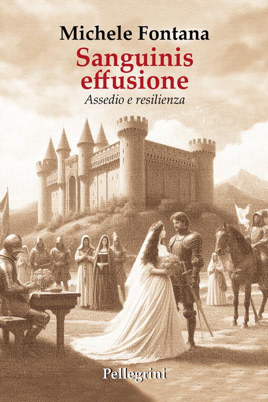 Sanguinis effusione. Assedio e resilienza - Michele Fontana - copertina