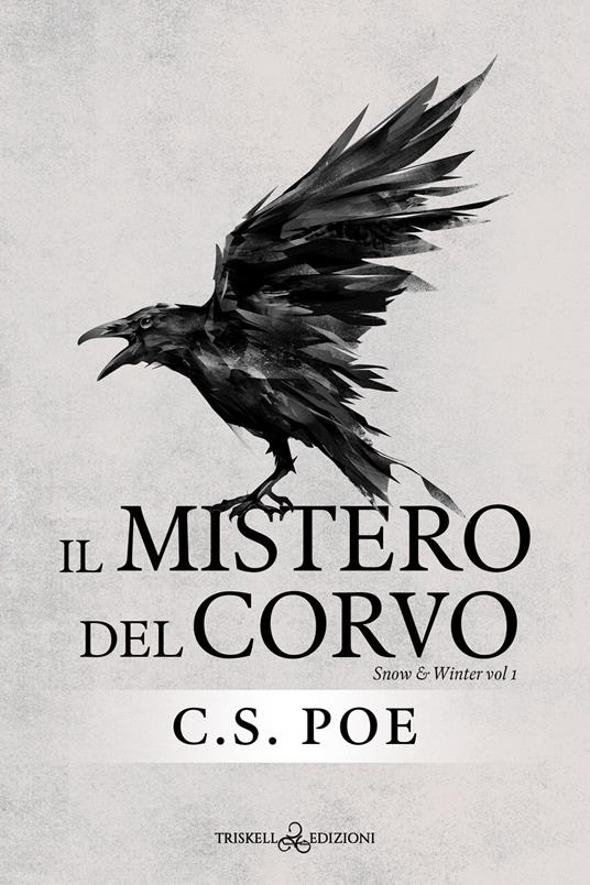 Il mistero del corvo. Snow & Winter. Vol. 1 - C. S. Poe,Chiara Messina - ebook